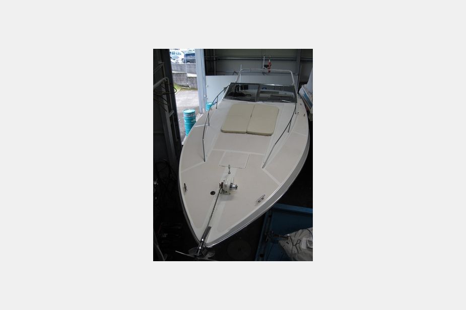 Image 8